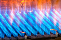 Langholme gas fired boilers
